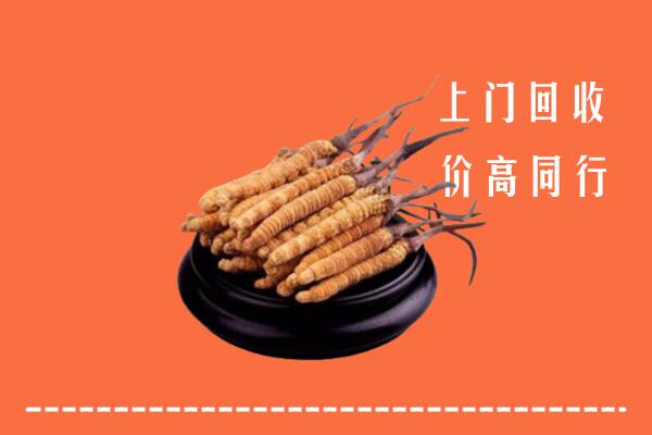 高价求购：晋源区回收散虫草
